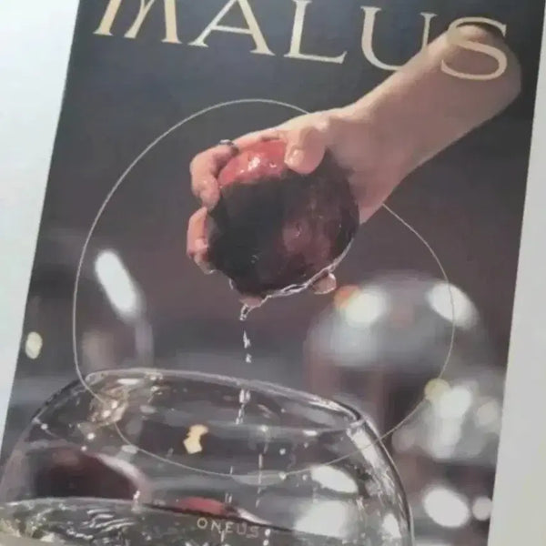 [BUNJANG] ONEUS MALUS Individual Album / 원어스 말루스 개인 앨범