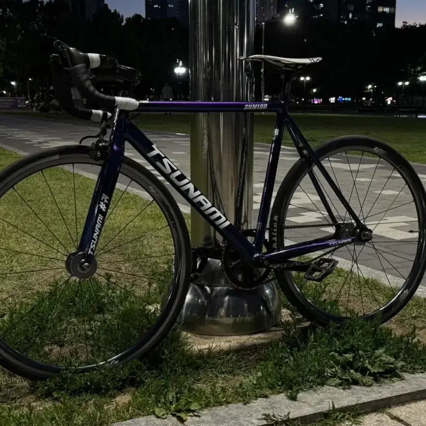 [BUNJANG] Tsunami Bicycle Frame / 쓰나미 대차