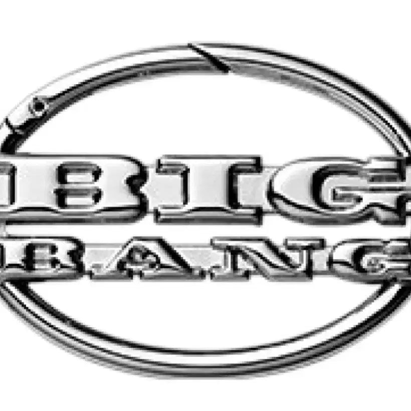 [BUNJANG] BIGBANG 20th Anniversary Carabiner / 빅뱅 20주년 카라비너