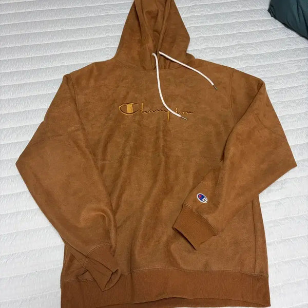 [BUNJANG] Champion Hooded Sweatshirt / 챔피언 후드티 판매합니다