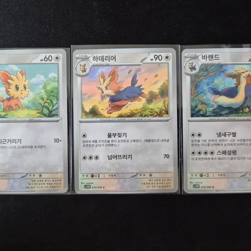 [BUNJANG] Pokemon Card Yoteri/Haderia/Barand Evolution Set / 포켓몬 카드 요테리/하데리어/바랜드 진화세트