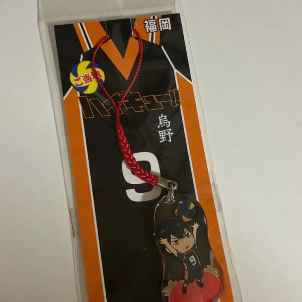 [BUNJANG] Haikyuu!! Kageyama Tobio Keyring / 하이큐 카게야마 키링
