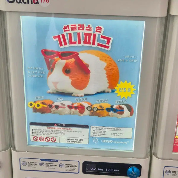 [BUNJANG] Guinea Pig Sunglasses Gachapon Figure - Sealed / 선글라스 쓴 기니피그 가챠 땡글뱅이 미개봉