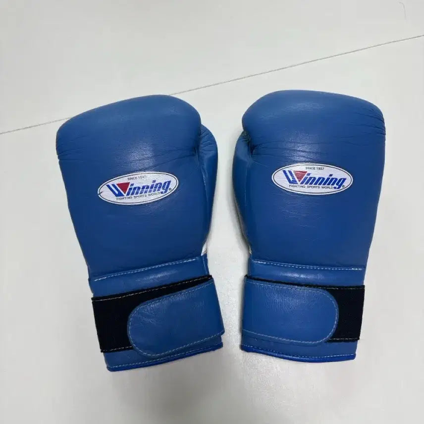 [BUNJANG] Winning Boxing Gloves 14oz Blue / 위닝글로브 14온스 팝니다