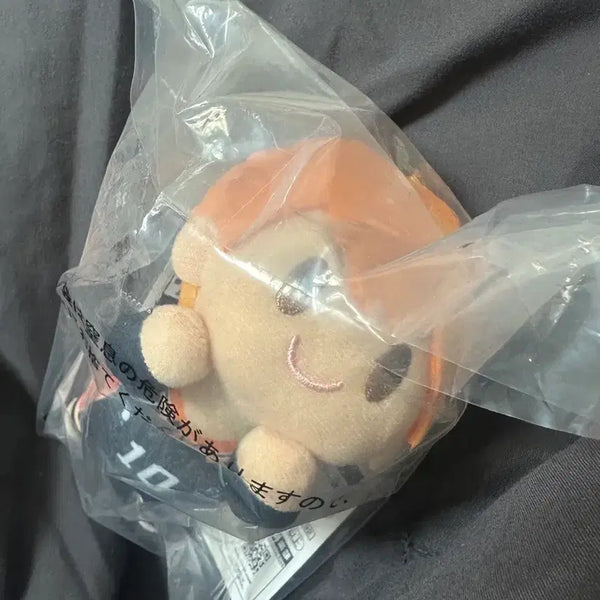 [BUNJANG] Haikyuu!! 10th Anniversary Ichiban Kuji Hinata Plush D Prize / 미개봉) 하이큐 10주년 제일복권 히나타 누이구루미 D상