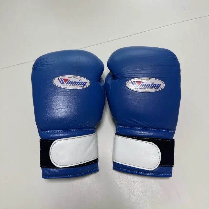 [BUNJANG] Winning Boxing Gloves 14oz / 위닝 글러브 14온스 팝니다