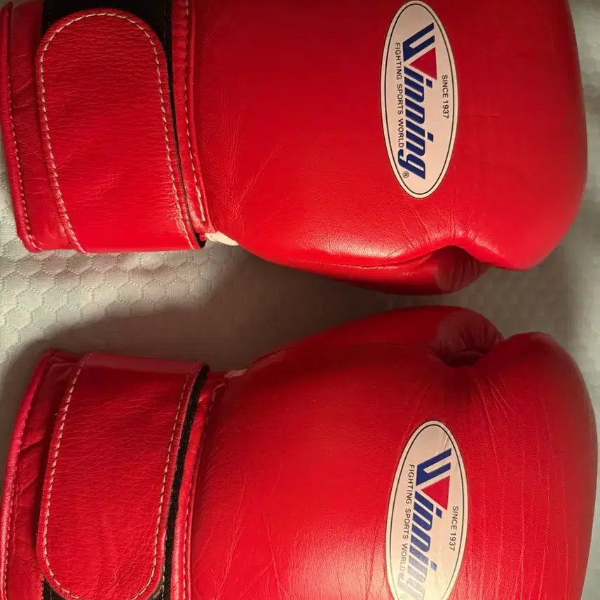 [BUNJANG] Winning 12oz Boxing Gloves Red / 위닝글러브 12온스 레드