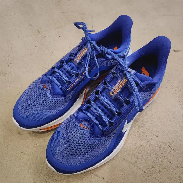 [BUNJANG] Nike Pegasus Premium / 나이키 페가수스 프리미엄