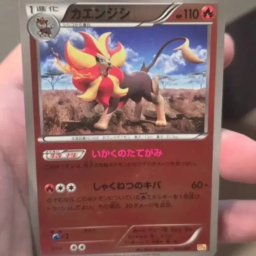[BUNJANG] Pokemon Card Japanese Premium Champion Pack CP4 - Flareon / 포켓몬카드 일본판 화염레오 프리미엄 챔피언팩 cp4