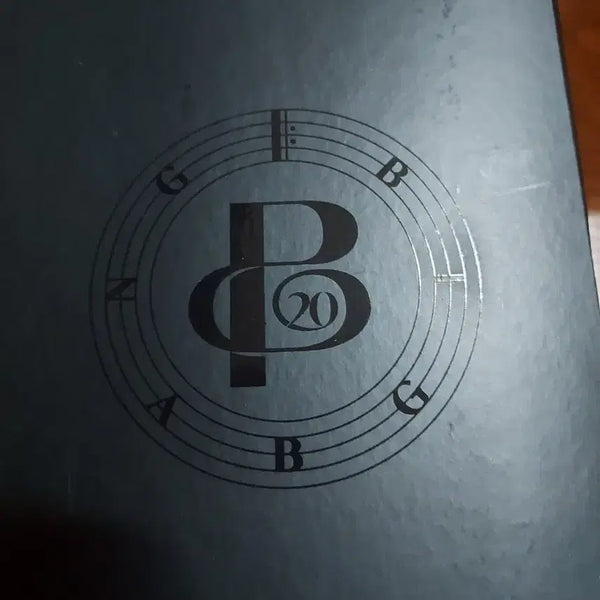 [BUNJANG] BIGBANG 20th Anniversary Light Stick / 뱅봉 빅뱅 20주년 응원봉 동영상 밧데리 추가