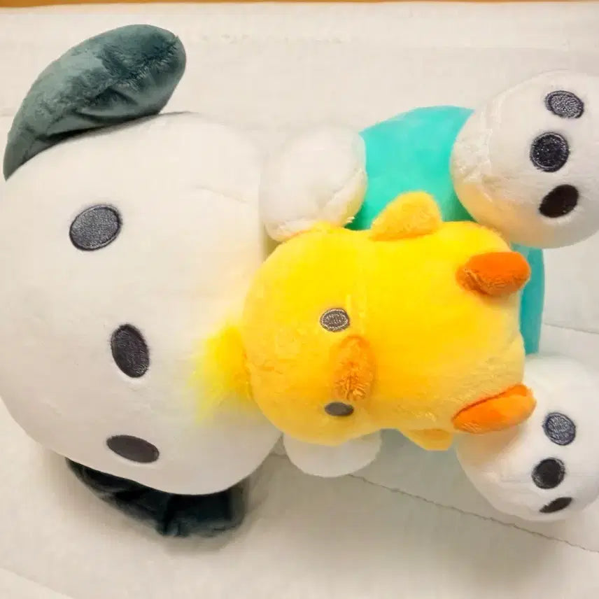 [BUNJANG] Sanrio Pochacco Chick Plush / (정품) 산리오 포챠코 병아리 인형 포차코