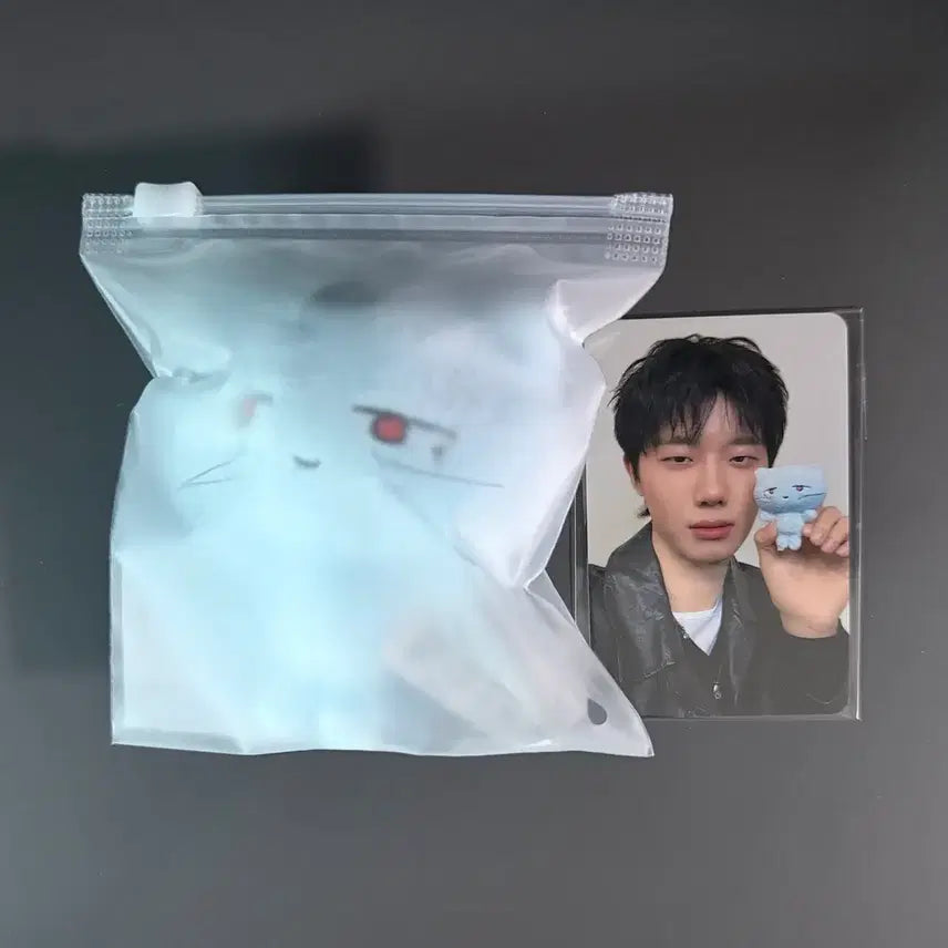 [BUNJANG] Ha Hyun Sang Hanabi Photocard (Sealed) / 하현상 하나비 키링 하나비 포카 미개봉 새상품