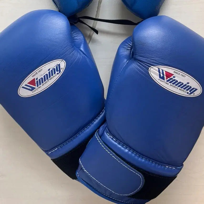 [BUNJANG] Winning Boxing Gloves 14oz Blue / 위닝글러브