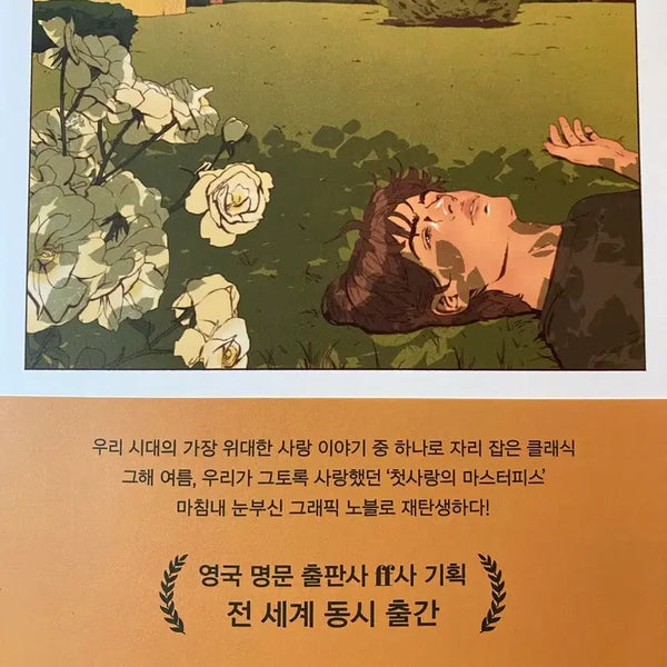 [BUNJANG] Call Me By Your Name Graphic Novel / 콜미바이유어네임 그래픽 노블