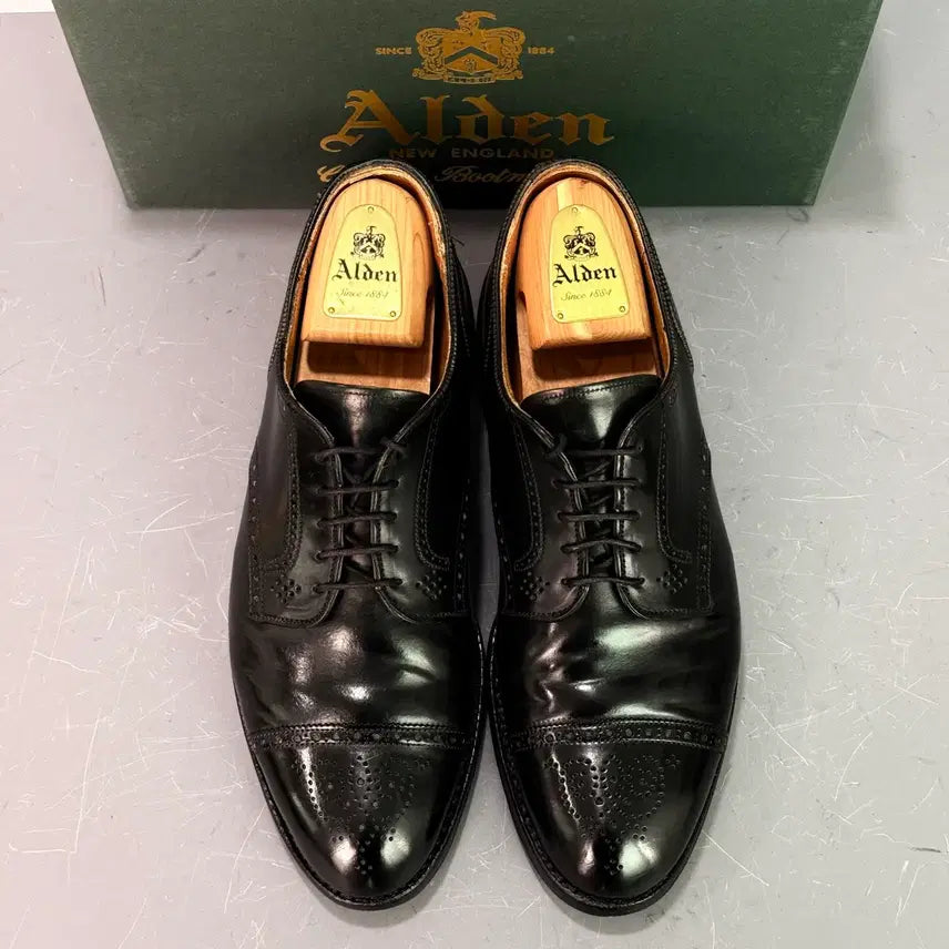 [BUNJANG] Alden 2146 Black Shell Cordovan Medallion Cap-Toe Derby Shoes / [9.5E] 알든 2146 블랙 코도반 메달리온 캡토 더비