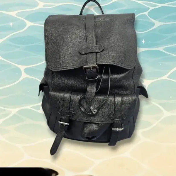 [BUNJANG] Coach Hudson Backpack Black Leather / 코치. 허드슨 백팩