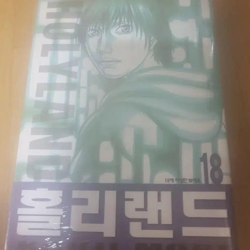 [BUNJANG] Holidyland Complete Manga Set Volumes 1-18 / 홀리랜드  1~18권