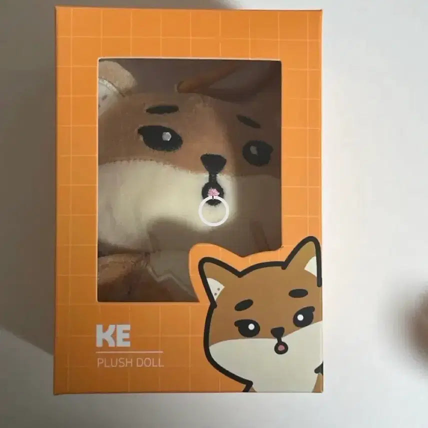 [BUNJANG] DAY6 Denimals 22 Goods / 데이식스 데니멀즈 22 케 (원가양도
