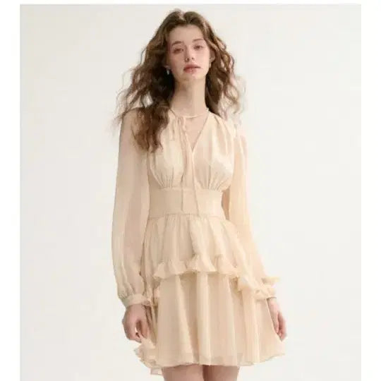 [BUNJANG] Shinseiden Chiffon Dress / 교신 신스덴 쉬폰 원피스 (셀프웨딩 하객룩 피로연 상견례 졸업사진 돌잔치 오피스룩 미시룩