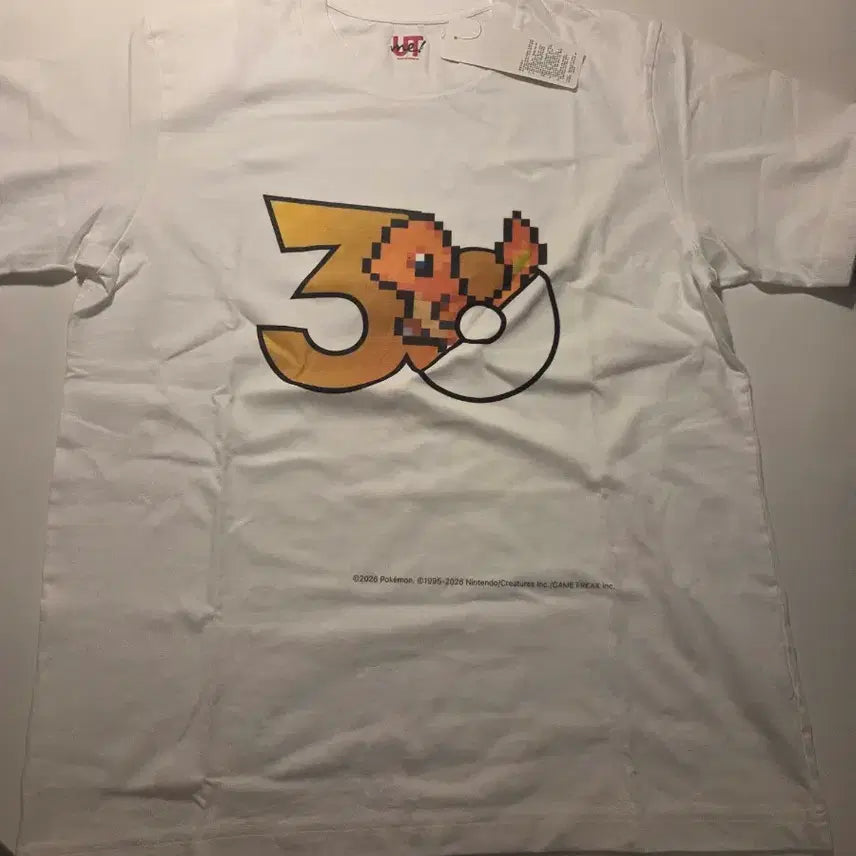 [BUNJANG] Pokemon Charizard UTme T-Shirt / 포켓몬 반팔 파이리 티셔츠 UTme 별빛낙원