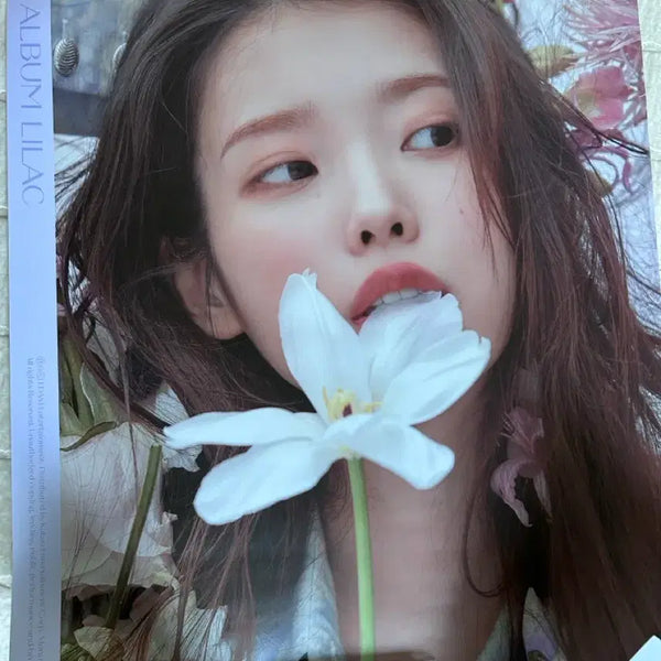 [BUNJANG] IU 'LILAC' Poster / 새상품 아이유 라일락 포스터