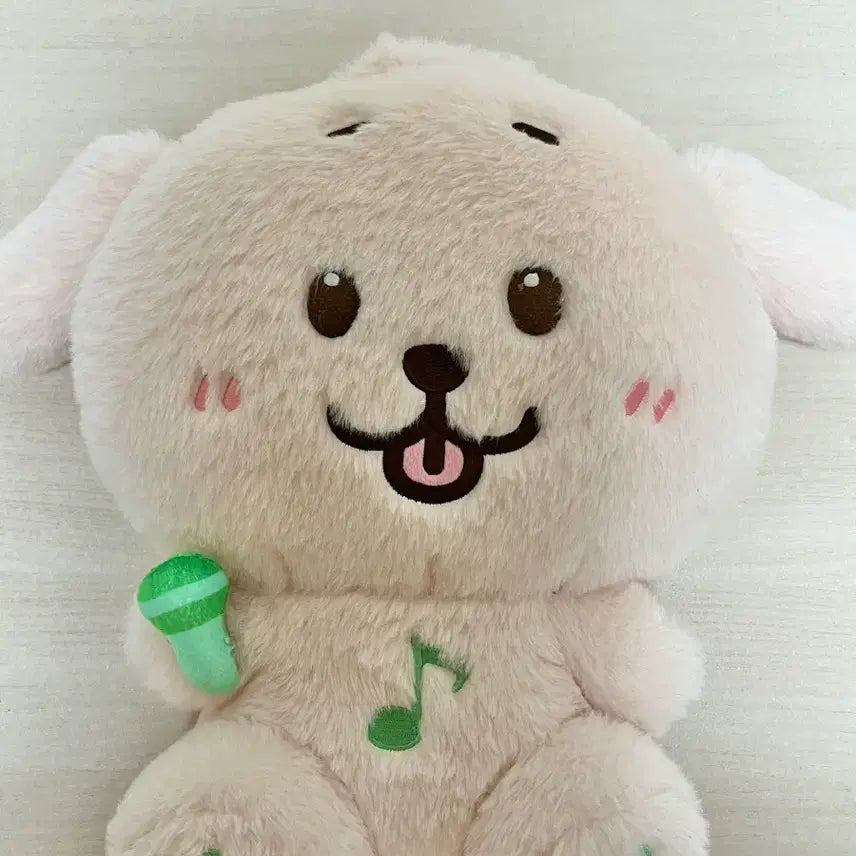 [BUNJANG] NCT WISH DREMTREVER Wish Doll 30cm (Unsealed) / 엔시티 위시 댕트리버 위시돌 30cm 판매 (단순개봉)
