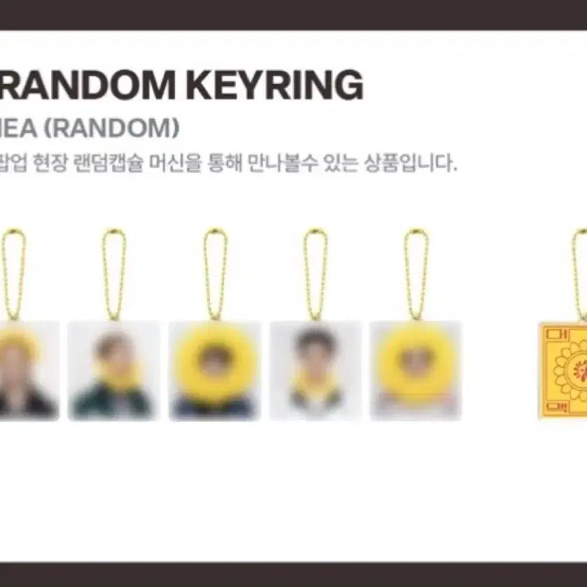 [BUNJANG] Cortis Random Keyring / (현물) 코르티스 랜덤 키링 CORTIS 팝업