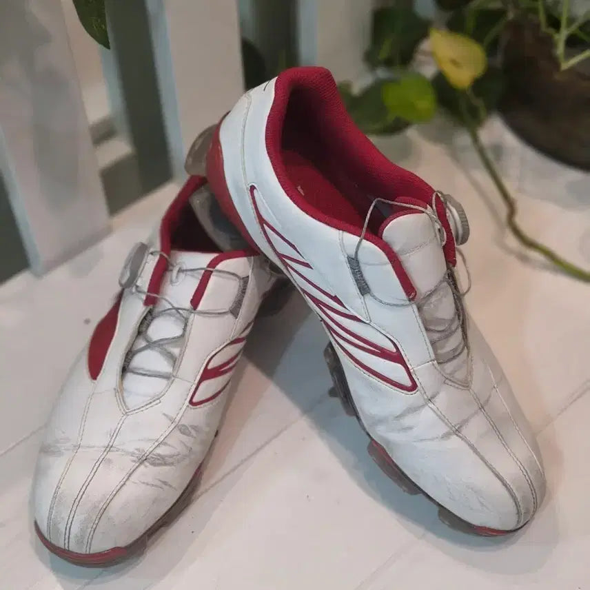 [BUNJANG] Mizuno Golf Shoes 265 White/Red / 미즈노 골프화 265 흰색/빨강