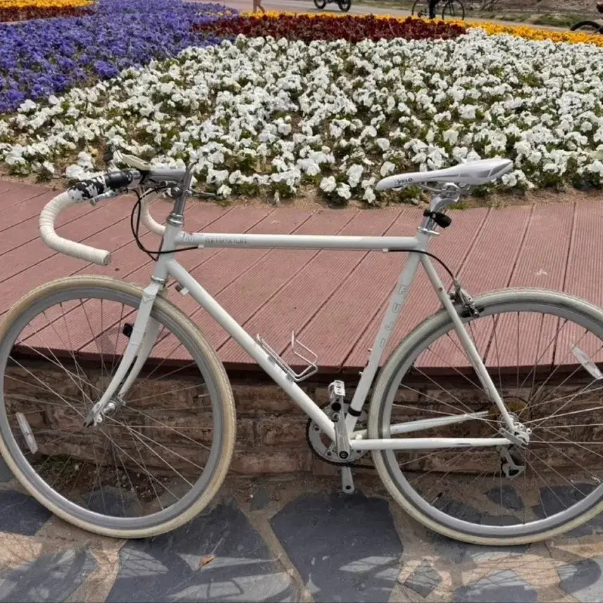 [BUNJANG] Fuji Cromoly Road Bicycle Bundle Set / 후지 크로몰리 [로드 자전거/로라/ 즈위프트 센서]