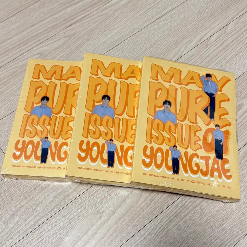 [BUNJANG] TWS Youngjae Birthday Box (Sealed) / 미개봉)TWS투어스 영재 생일박스 판매