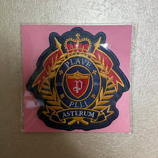 [BUNJANG] PlaYve Kakurenbo Emblem Pin Badge Wappen / 플레이브 카쿠렌보 앰블럼 핀뱃지 와펜 팝니다