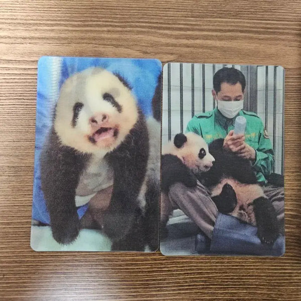 [BUNJANG] Fubao Hologram Photocard Everland / 푸바오 바오 홀로그램 포토카드 에버랜드