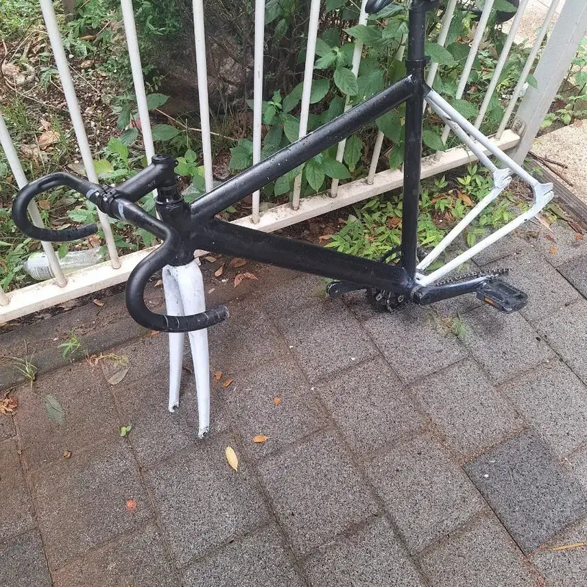[BUNJANG] Pixie Track Bike Frame Bundle / 픽시 반차