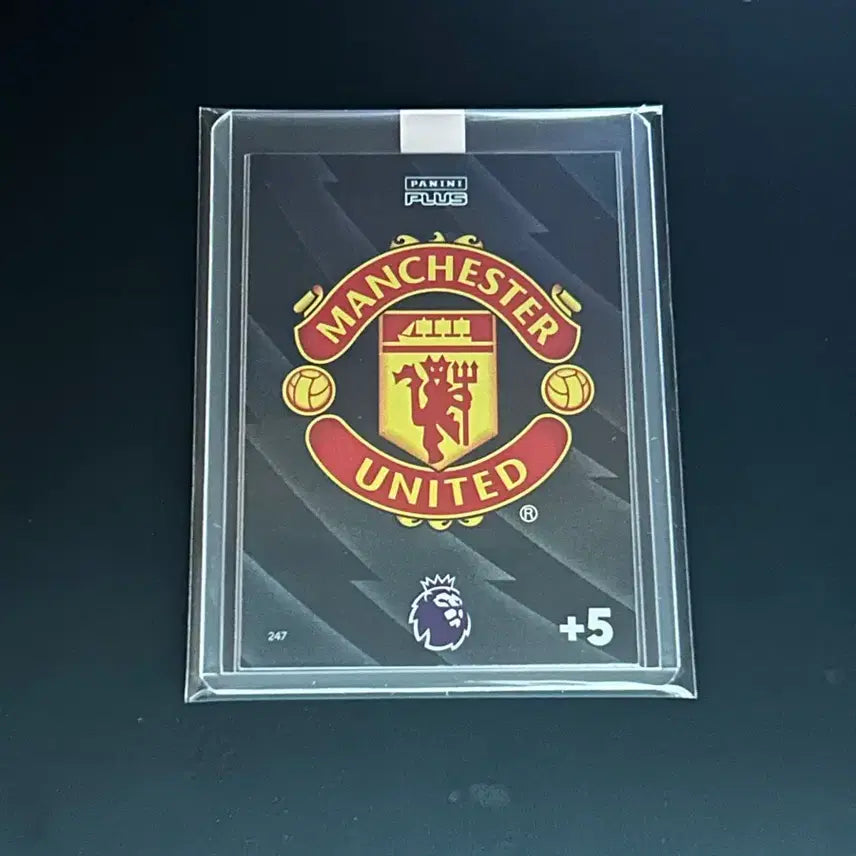 [BUNJANG] Panini Manchester United Club Logo Soccer Card / [축구카드/파니니] 맨유 클럽 로고 카드