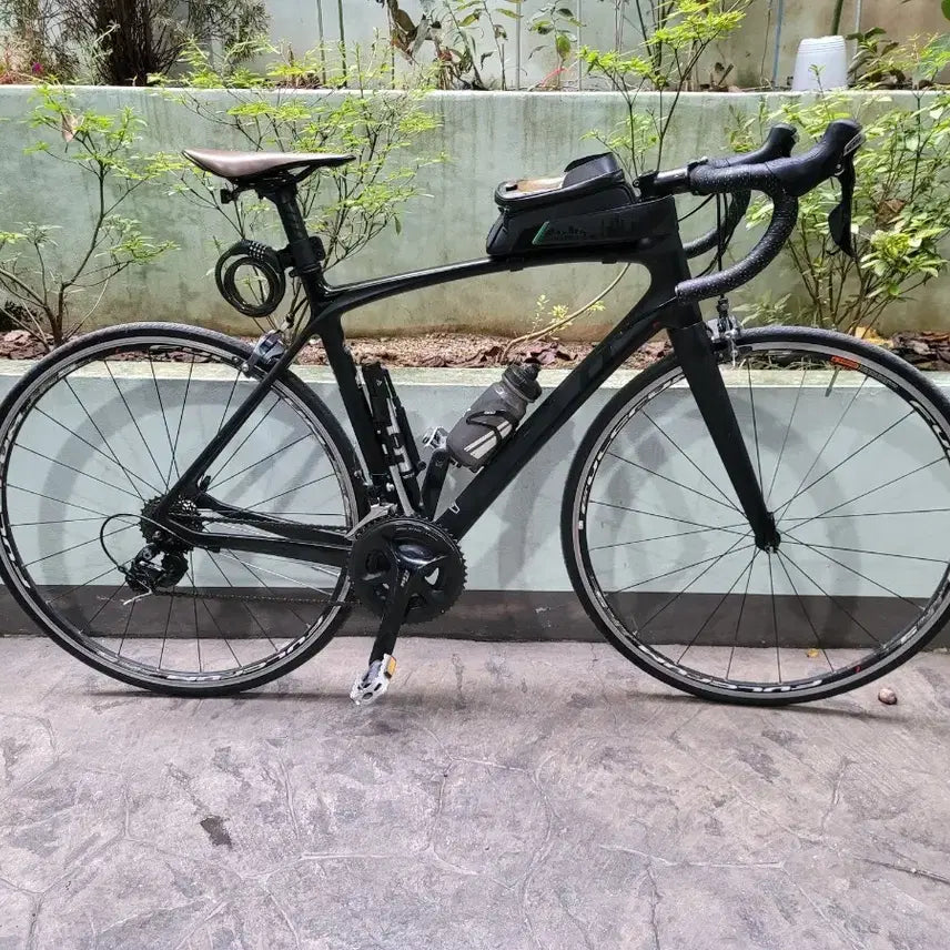 [BUNJANG] Cello Cain Mk2 Carbon Road Bike / 첼로 케인 Mk2 카본 로드 자전거201510