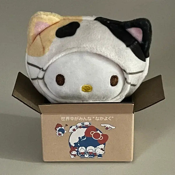 [BUNJANG] Sanrio Hello Kitty Cat in a Box Series / 헬로키티 상자 속의 고양이 시리즈