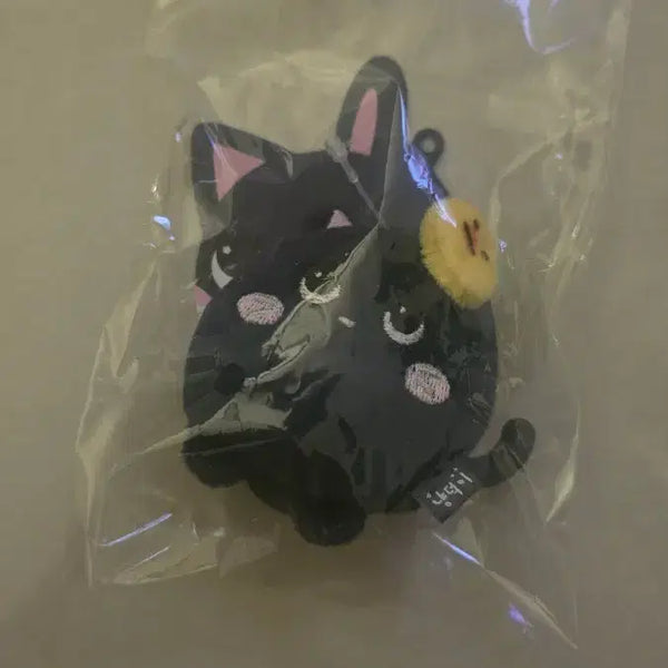 [BUNJANG] RIIZE Wonbin Mini Keyring (Sealed) / 미개봉) 라이즈 미니키링 토냥덕 냥덕 원빈