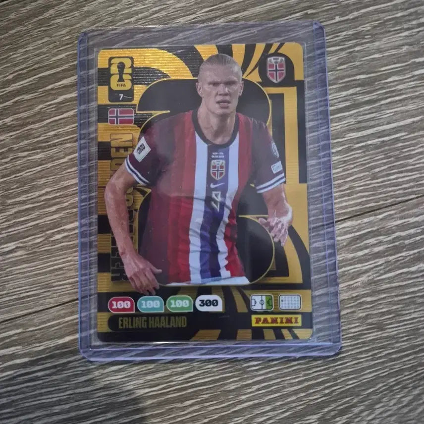 [BUNJANG] Erling Haaland World Cup Golden Card / 홀란 월드컵 골든카드