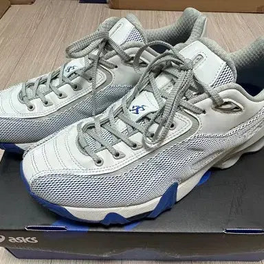 [BUNJANG] Kiko Kostadinov x Asics Gel-Terremoa & Fragment x Nike Dunk High Sneakers / 키코 X 아식스 젤 테레모아/프라그먼트 덩크하이