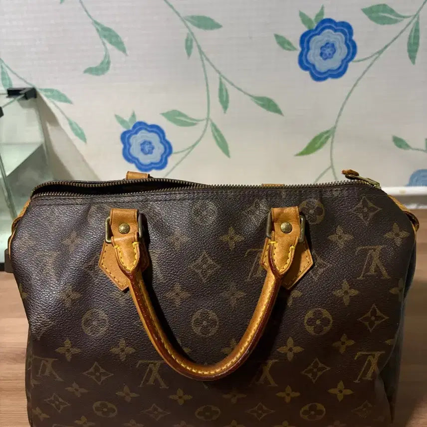 [BUNJANG] Louis Vuitton Speedy 30 Bag / 루이비통 스피디 가방 30