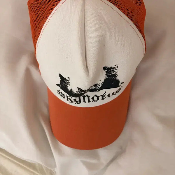 [BUNJANG] Why Not Us Mesh Cap / 와이낫어스 메쉬캡
