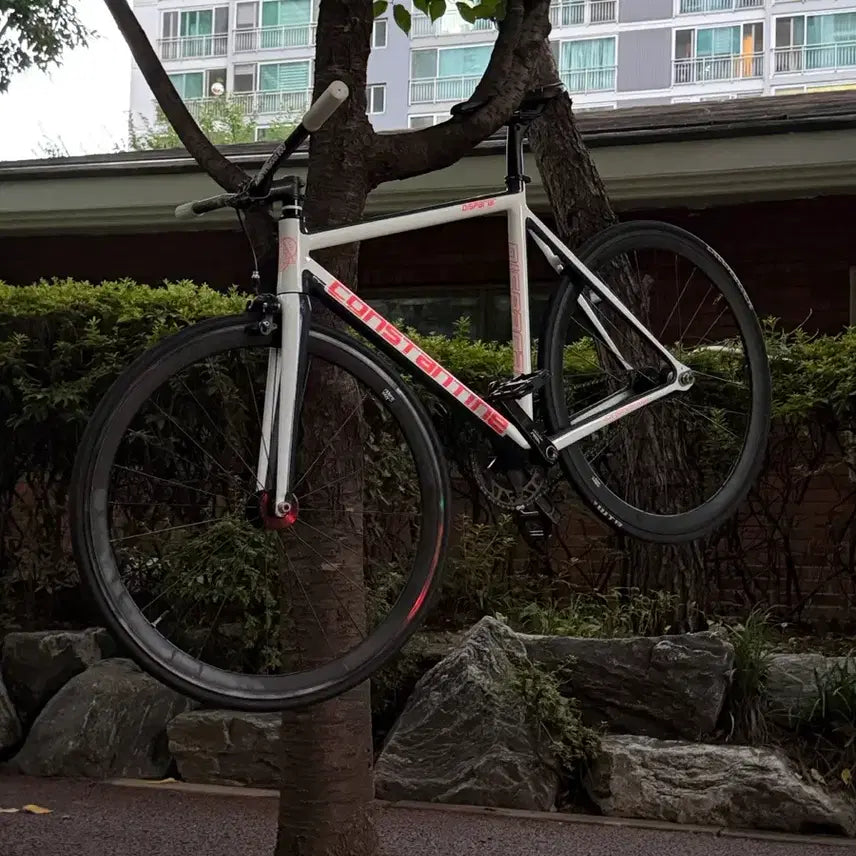 [BUNJANG] Constantine Disperal 2024 Bicycle / 콘스탄틴 디스페랄 2024년식