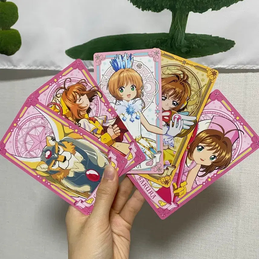 [BUNJANG] Cardcaptor Sakura Illustration Card Set Bundle / 카드캡터 사쿠라 일러스트 카드 세트 일괄