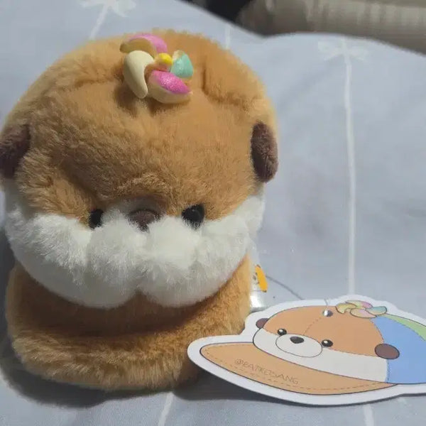[BUNJANG] Rakkosan Hat Pouch / 랏코상 모자 파우치