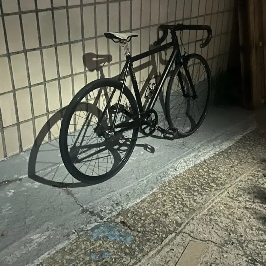 [BUNJANG] Giant Fiction Bicycle / 자이언트 픽셔