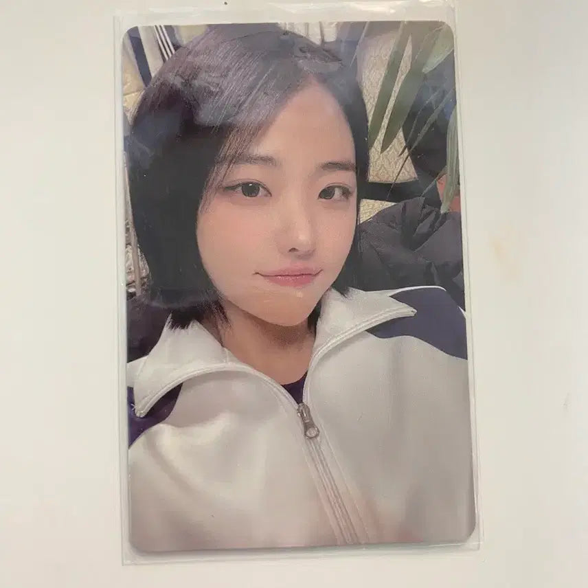 [BUNJANG] QWER 'Gominjungdok' Photocard / qwer 고민중독 포카