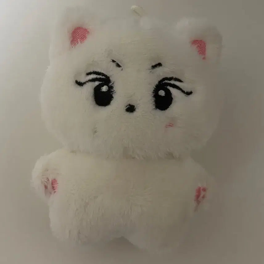 [BUNJANG] Enhypen Yang Jungwon Doll 'Yangkomi' / 엔하이픈 양정원 인형 양꼬미 양도 판매