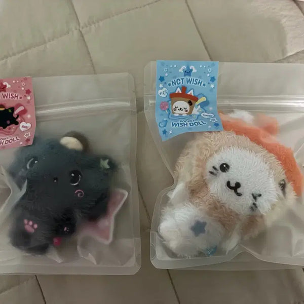 [BUNJANG] Pocket Wish Doll Kuri Bubble Cat Bundle Set / 포켓위시돌 쿠리 버블냥