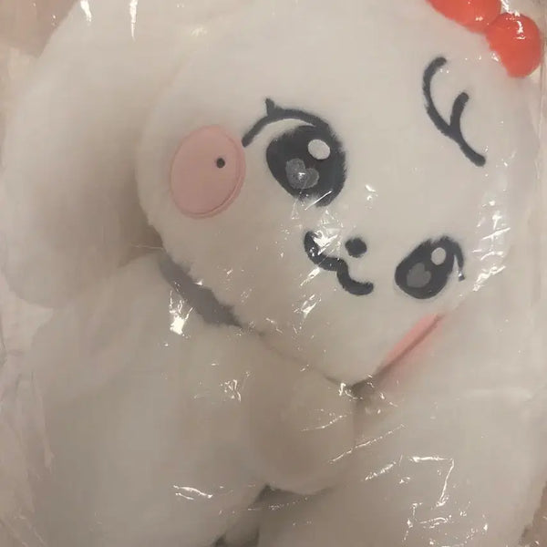 [BUNJANG] IVE Wonyoung Everland Hug Bag (Cherry Ver.) / 아이브 체리 미니브 원영 에버랜드 허그가방