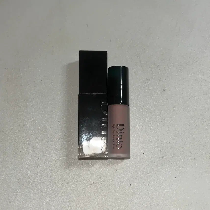 [BUNJANG] Dinto Blur-Glowy Lip Tint 219 Ave Maria / 딘토 블러글로이 립 틴트 219 아베 마리아